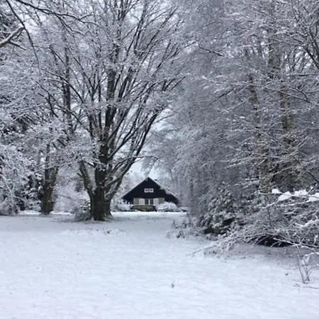 Large Hunting With Enormous Beautiful Garden 빌라